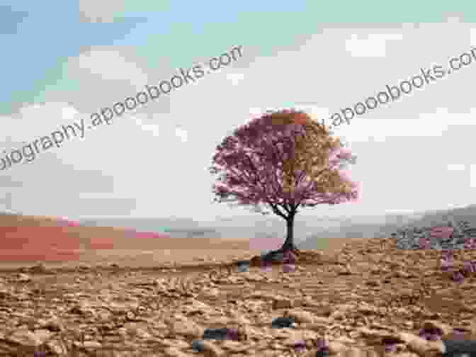 A Barren Landscape With A Lone Tree Standing Defiant Amidst Industrial Ruins Welcome To The Anthropocene (Robert Kroetsch Series)