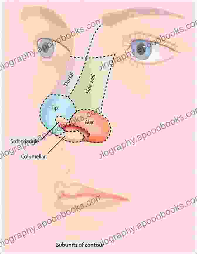 A Child Undergoing Aesthetic Reconstruction Of The Nose Aesthetic Reconstruction Of The Child S Nose