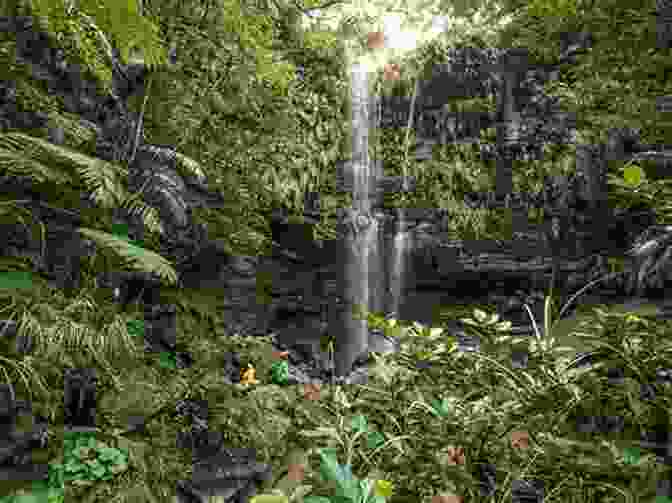 A Hidden Waterfall, A Discovery Waiting To Be Explored The Machias Bay Region Jim Harnedy