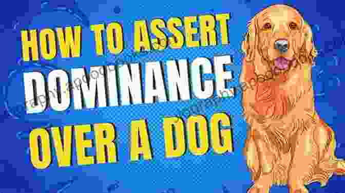 A Person Attempting To Assert Dominance Over A Dog Dominance In Dogs Fact Or Fiction?