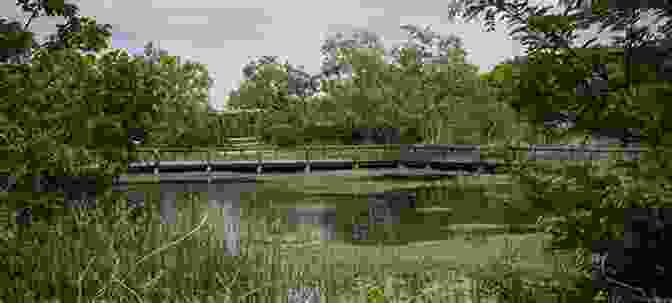 A Photo Of Cedar Hill State Park In Cedar Hill, Texas. Wild DFW: Explore The Amazing Nature In And Around The DFW