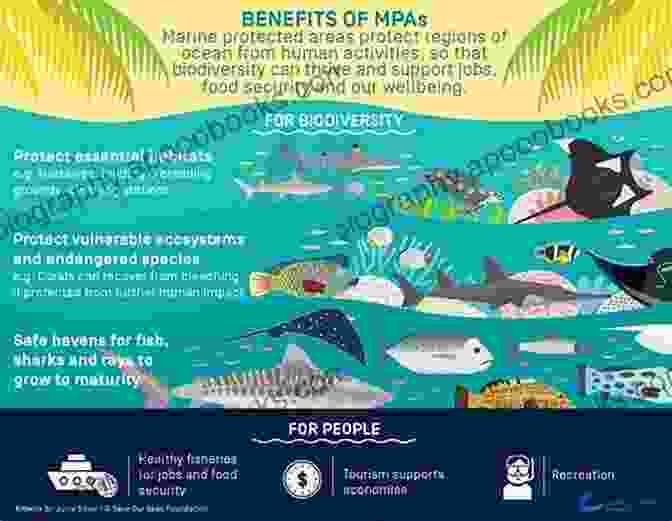 A Representation Of Marine Conservation Efforts, Showcasing The Importance Of Protecting Marine Ecosystems And Ensuring The Health Of Our Oceans. Incredible Oceans (Marine Life 1)