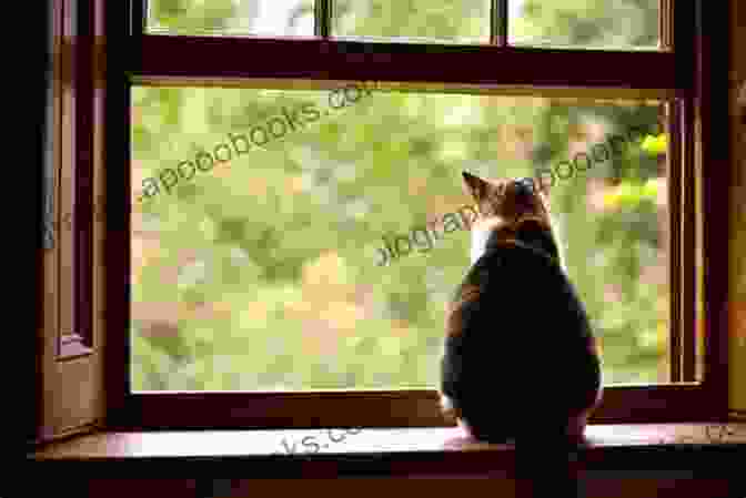 A Streetwise Cat Sitting On A Windowsill, Looking Out At The City. The Little Of Bob: Life Lessons From A Streetwise Cat