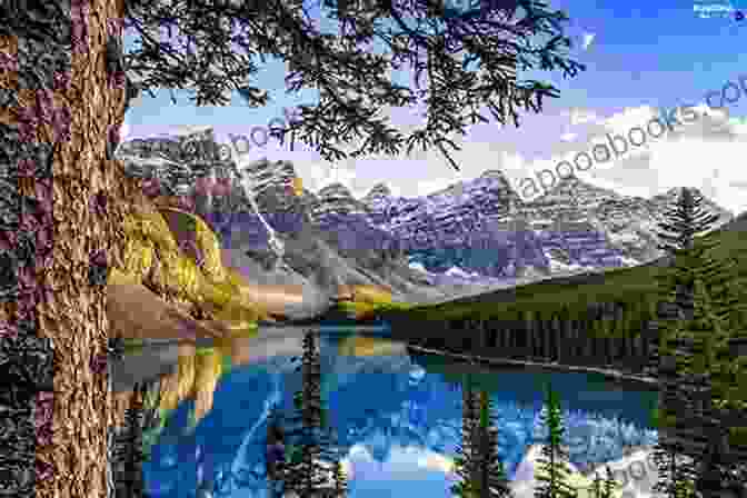 A Stunning View Of Canadian Nature A Canadian Calendar: XII Lyrics