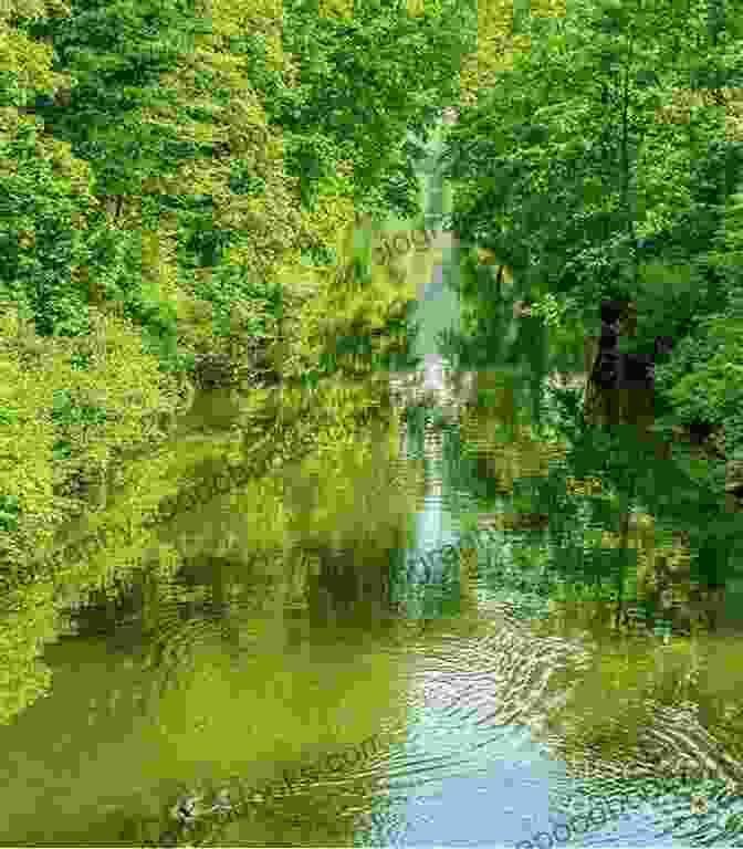 A Tranquil Riverside Setting With Lush Greenery, A Flowing River, And A Cozy Cottage In The Distance. Summer By The River Debbie Burns