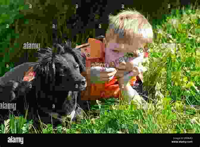 A Young Boy And His Dog Walk Through A Field, Their Silhouettes Against The Golden Sunset. The Brown Dog Chronicles Michael Clay Thompson