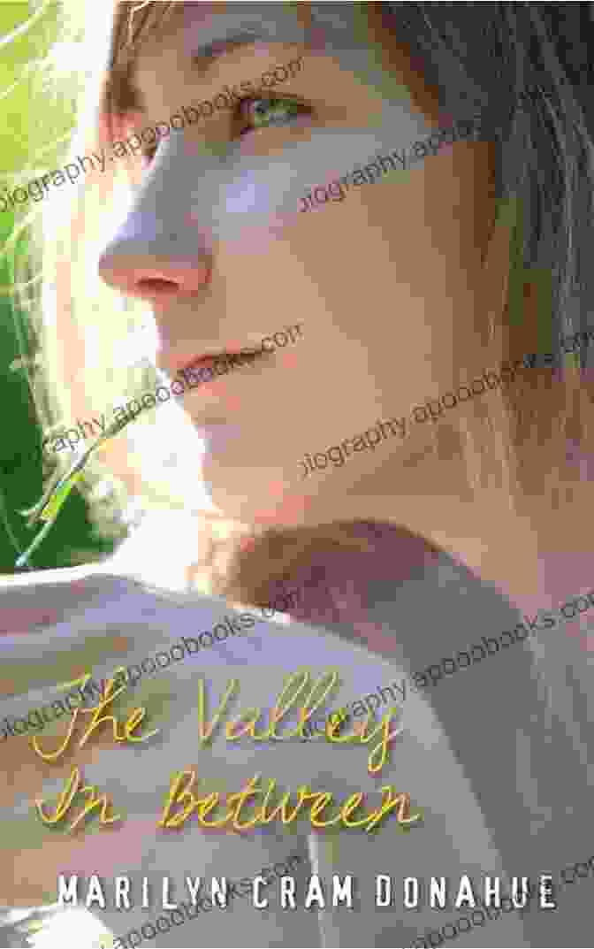 Alluring Book Cover Of Marilyn Cram Donahue's The Valley In Between Marilyn Cram Donahue