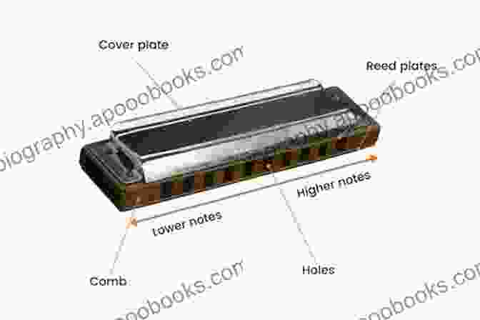 Anatomy Of A Harmonica The Talking Harmonica: Harmonica As A Second Language: Fourth Edition