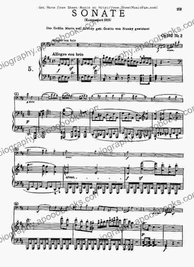 Beethoven Cello Sonata No. Op. 102 No. 2 In D Minor Sheet Music Score Beethoven Cello Sonata No 2 Op 5 No 2 In G Minor (sheet Music Score)