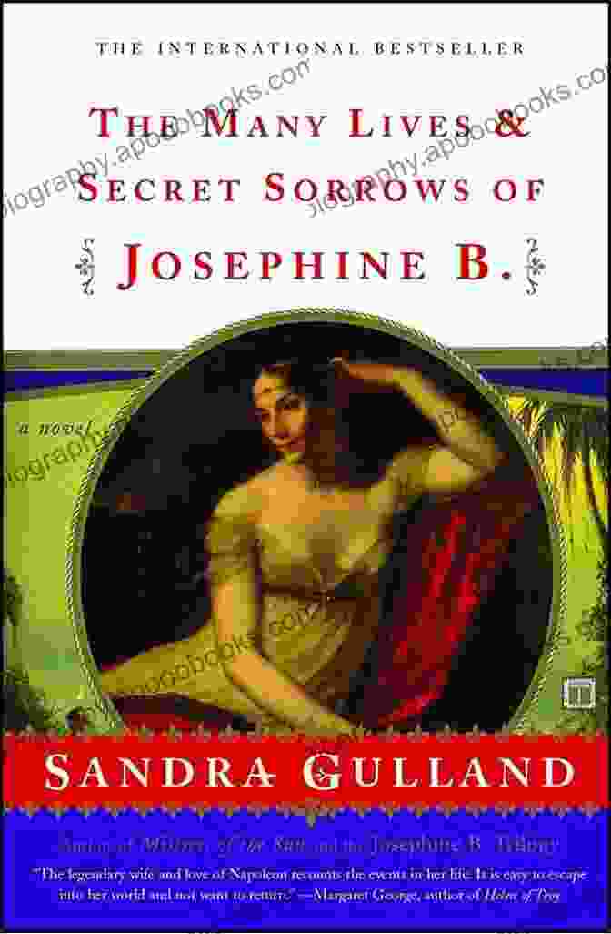 Book Cover Of 'The Many Lives And Secret Sorrows Of Josephine', Depicting A Silhouette Of A Woman With Flowing Hair And A Mysterious Expression The Many Lives Secret Sorrows Of Josephine B: A Novel