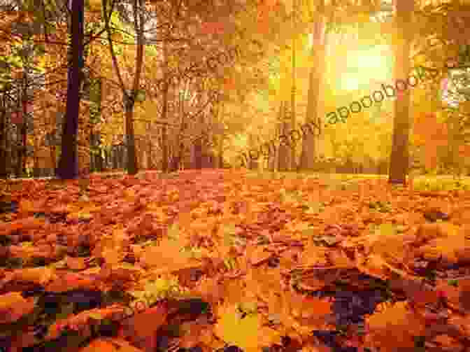 Close Up Of Autumn Leaves In Vibrant Shades Of Red, Orange, And Yellow Autumn Chronicles : Haiku By Steven Flint