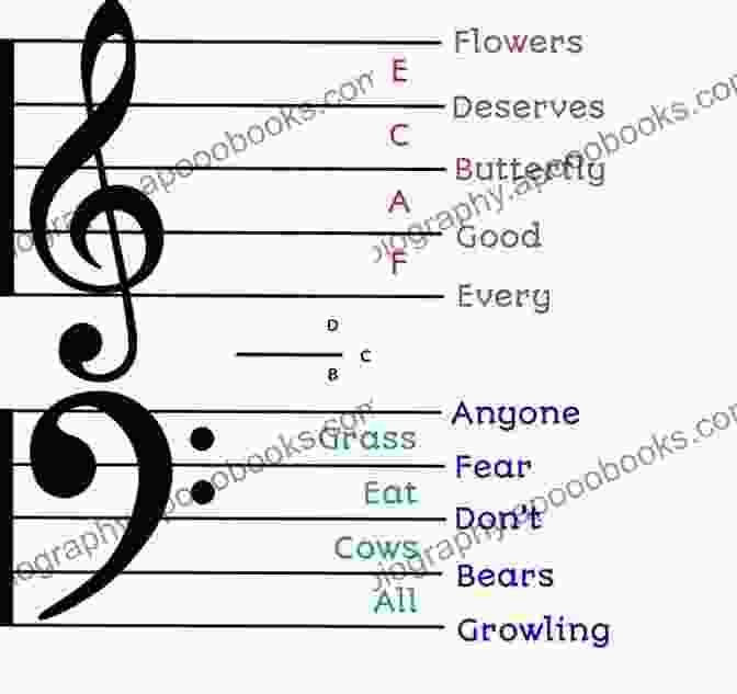 Diagram Of Musical Staff With Treble And Bass Clefs A Simple Guide On HOW TO READ MUSIC : Fundamentals For Beginners