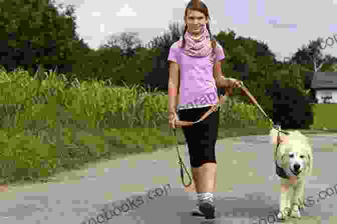 Dog Owner Walking With Their Dog On A Leash, Demonstrating Effective Leadership How To Walk Your Dog: Follow The Leader