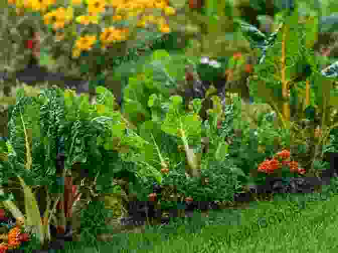 Edible Landscaping With Vegetables And Flowers Greenhouse Gardening For Beginners: A Complete Guide For Inspiring Gardening Ideas And To Grow Crops All Year Around