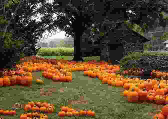 Fall Garden With Colorful Leaves And Pumpkins Greenhouse Gardening For Beginners: A Complete Guide For Inspiring Gardening Ideas And To Grow Crops All Year Around