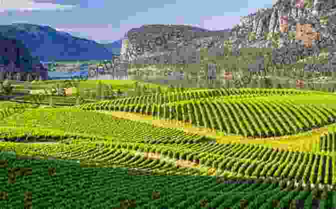 Fresh Produce And Wine From The Okanagan Valley Okanagan Slow Road Bernadette McDonald