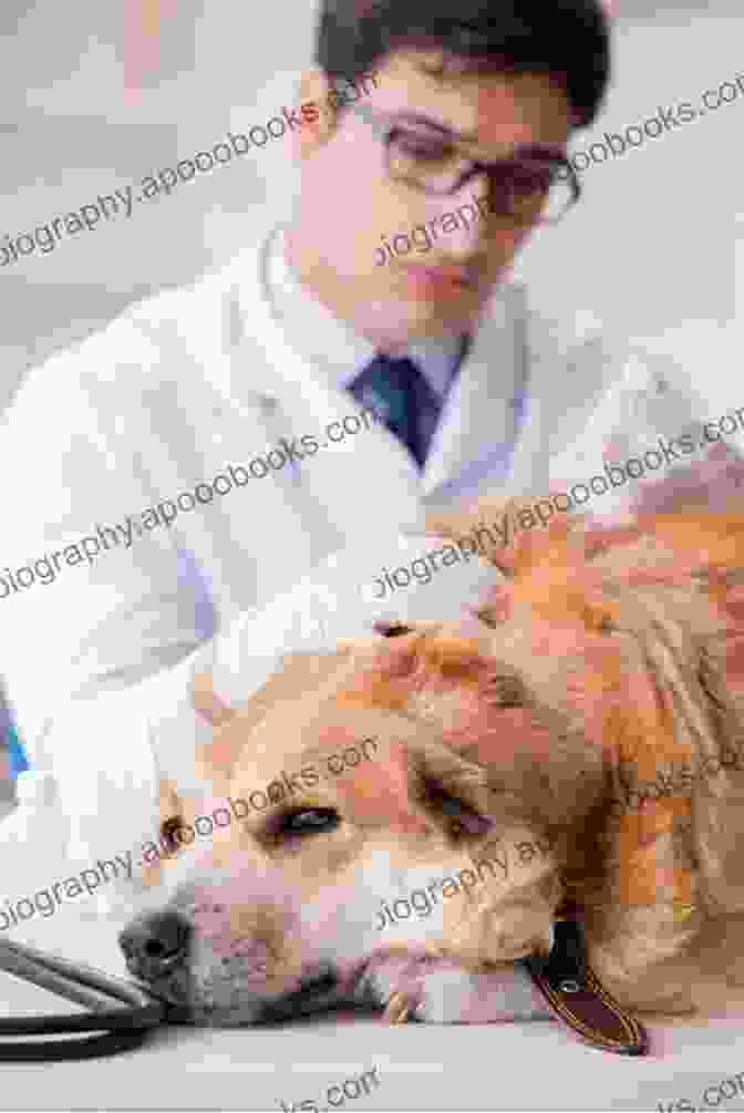 Golden Retriever Receiving Veterinary Care Dog Bless You (Cozy Dog Mystery): Golden Retriever Mystery #4 (Golden Retriever Mysteries)