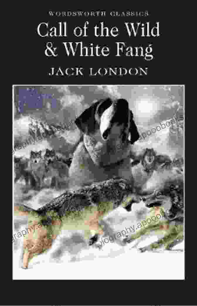 Jack London Collection: Call Of The Wild, White Fang, The Sea Wolf, To Build A Fire Jack London Collection (Call Of The Wild White Fang The Sea Wolf To Build A Fire Martin Eden Lost Face The Iron Heel And Other Works)