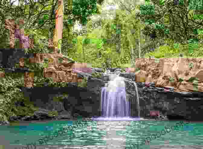 Lush Rainforest On Maui Island With Towering Waterfalls And Exotic Birdlife Under The Maui Sky (Maui Island 1)