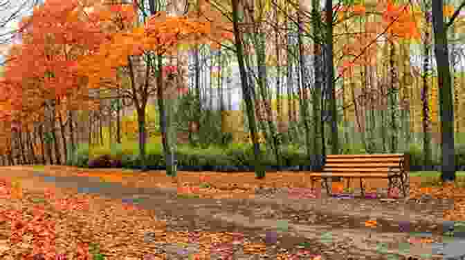 Path Through An Autumn Forest With Colorful Trees And Fallen Leaves Autumn Chronicles : Haiku By Steven Flint