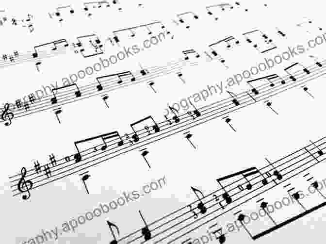 Person Reading A Musical Score A Simple Guide On HOW TO READ MUSIC : Fundamentals For Beginners