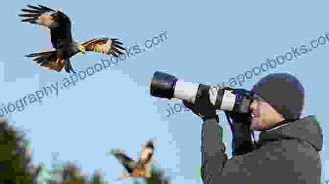 Photographer Capturing A Bird In Flight With A Professional Camera Birds Of A Feather: Tales Of A Wild Bird Haven