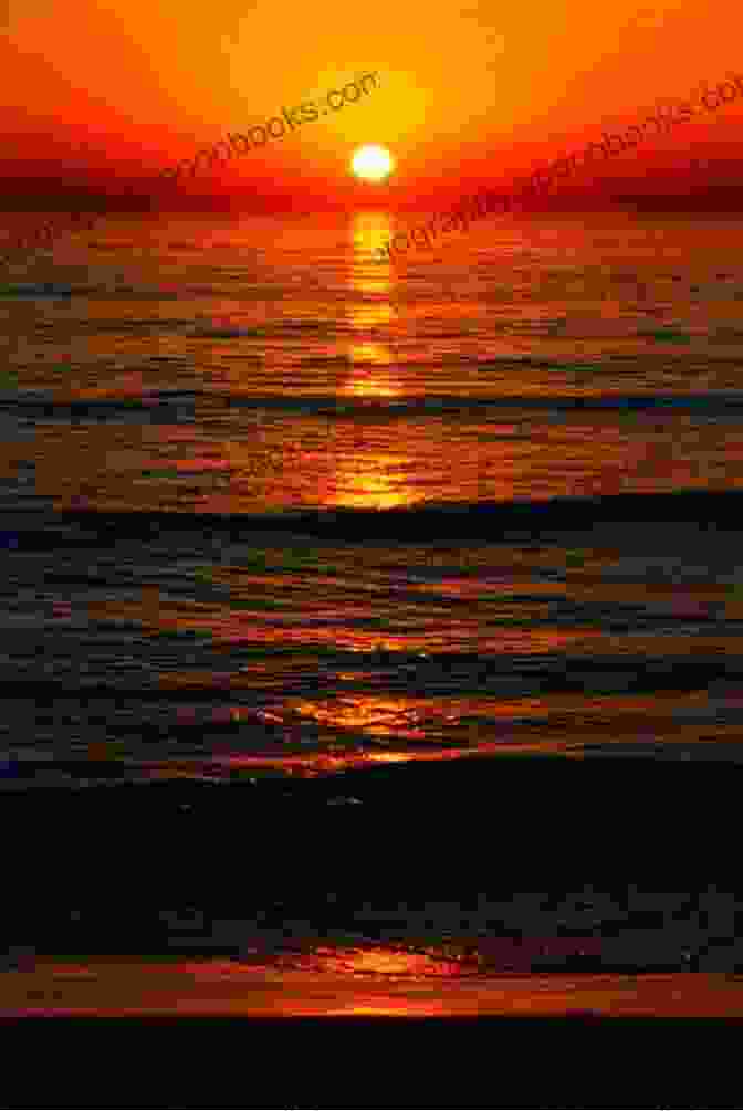 San Diego Sunset Book Cover With The Sun Setting Over The Ocean And A Silhouette Of The San Diego Skyline. Secrets Of White Sands Cove: A San Diego Sunset 1