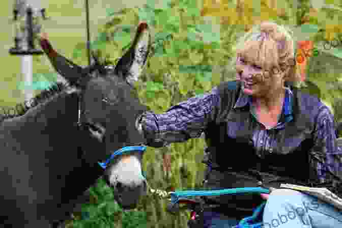 Step 1 Of Donkey Training The Ultimate Guide To Training Miniature Donkeys: The Step By Step Guide To Breeding Caring And Raising Miniature Donkeys Or Mini Donkeys Plus Miniature Donkey Food Care And Health Instructions