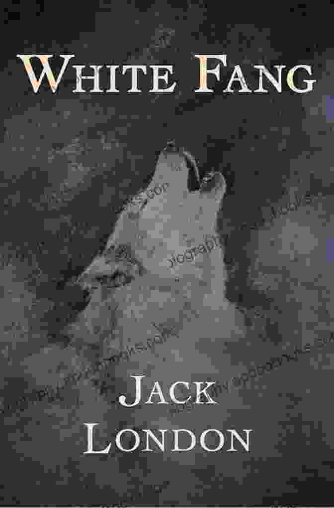 White Fang Book Cover White Fang: With Original Illustration