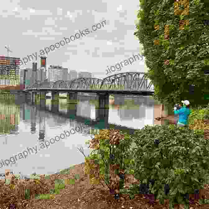 Willamette River In Portland 5 Fun Free Fascinating Sights In Portland (5 Spot Ebook Travel Series)