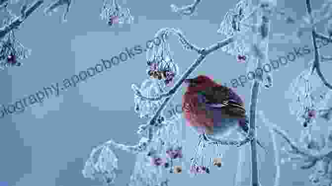 Winter Birds In A Snowy Landscape The Bones Of Winter Birds (Terrapin Poetry)