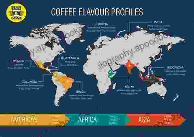 World Coffee Map Learning To Love The Flavor Of Coffee