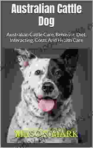 Australian Cattle Dog : Australian Cattle Care Behavior Diet Interacting Costs And Health Care