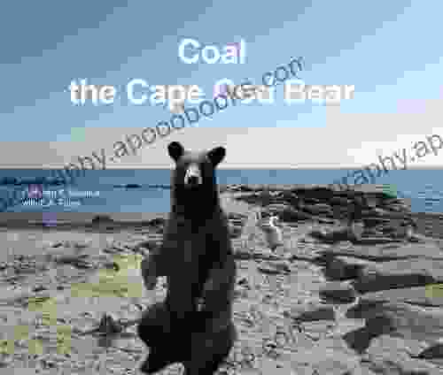 Coal The Cape Cod Bear