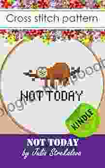 Cross stitch patterns for beginners funny sign Not today sloth lasy Hand embroidery design for adults