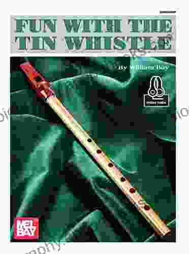 Fun With The Tin Whistle