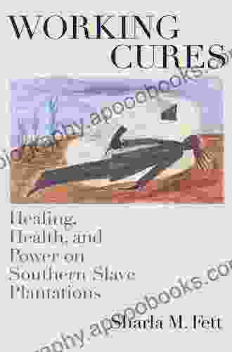 Working Cures: Healing Health And Power On Southern Slave Plantations (Gender And American Culture)