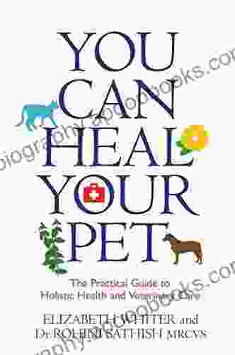 You Can Heal Your Pet: The Practical Guide To Holistic Health And Veterinary Care