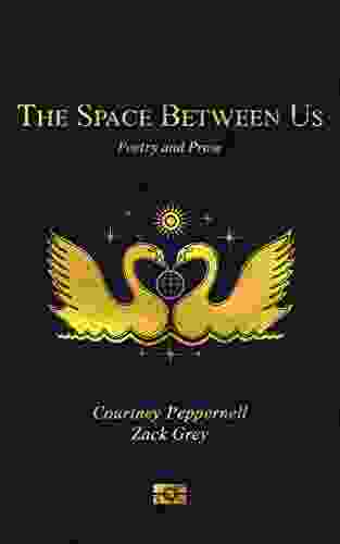 The Space Between Us: Poetry And Prose