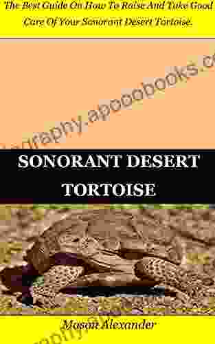 SONORANT DESERT TORTOISE: The Best Guide On How To Raise And Take Good Care Of Your Sonorant Desert Tortoise