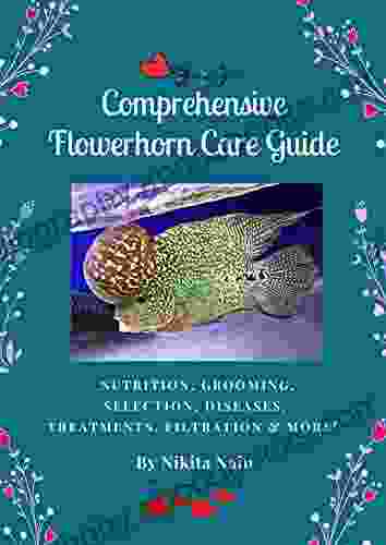 Comprehensive Flowerhorn Care Guide Nikita Nain